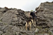 46 Passaggio impegnativo su roccette 